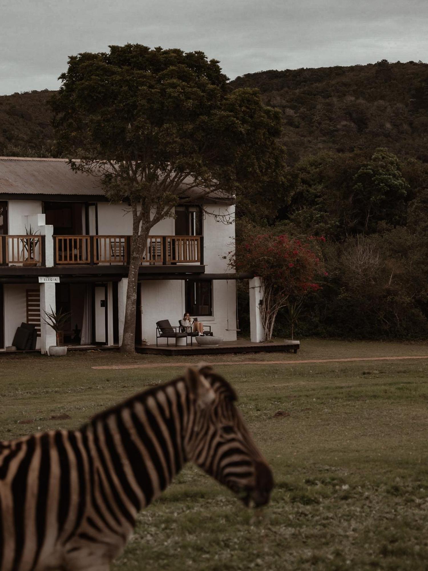 Willa Stanley Island Plettenberg Bay Zewnętrze zdjęcie