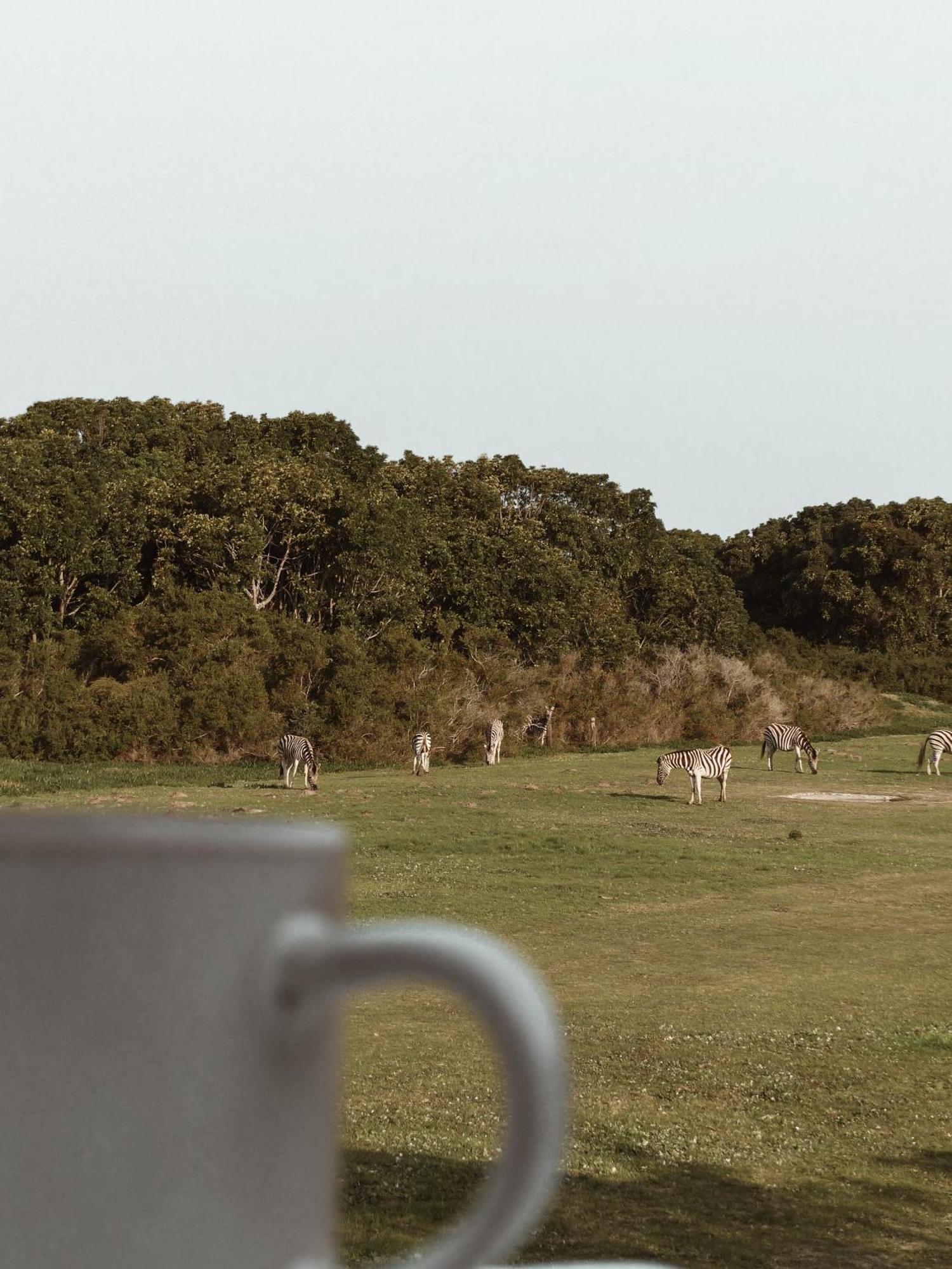 Willa Stanley Island Plettenberg Bay Zewnętrze zdjęcie